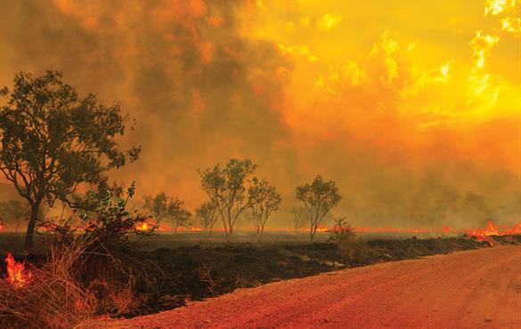 A wildfire burns in the Kimberley region of Western Australia. Credit: John Crux Photography/Getty Images